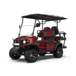 Carro de golf 2.2 AD