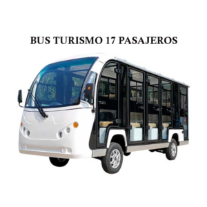 BUS TURISMO 17 PASAJEROS