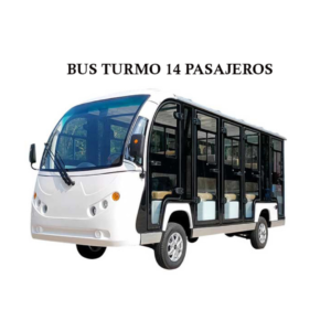 BUS TURISMO 14 PASAJEROS