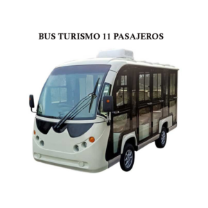 BUS TURISMO CERRADO 11 PASAJEROS