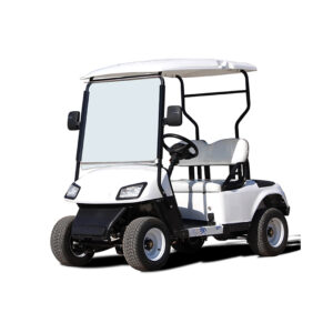CARRO GOLF 2 PASAJEROS